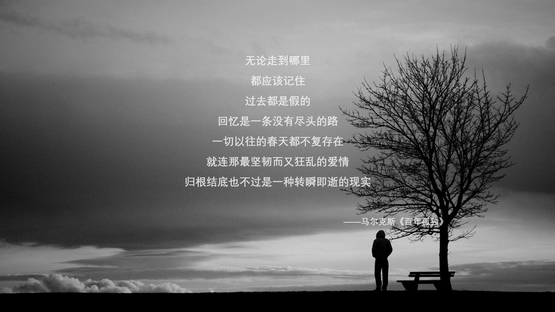 CS2 新秀选手表现抢眼,cs2女角色
