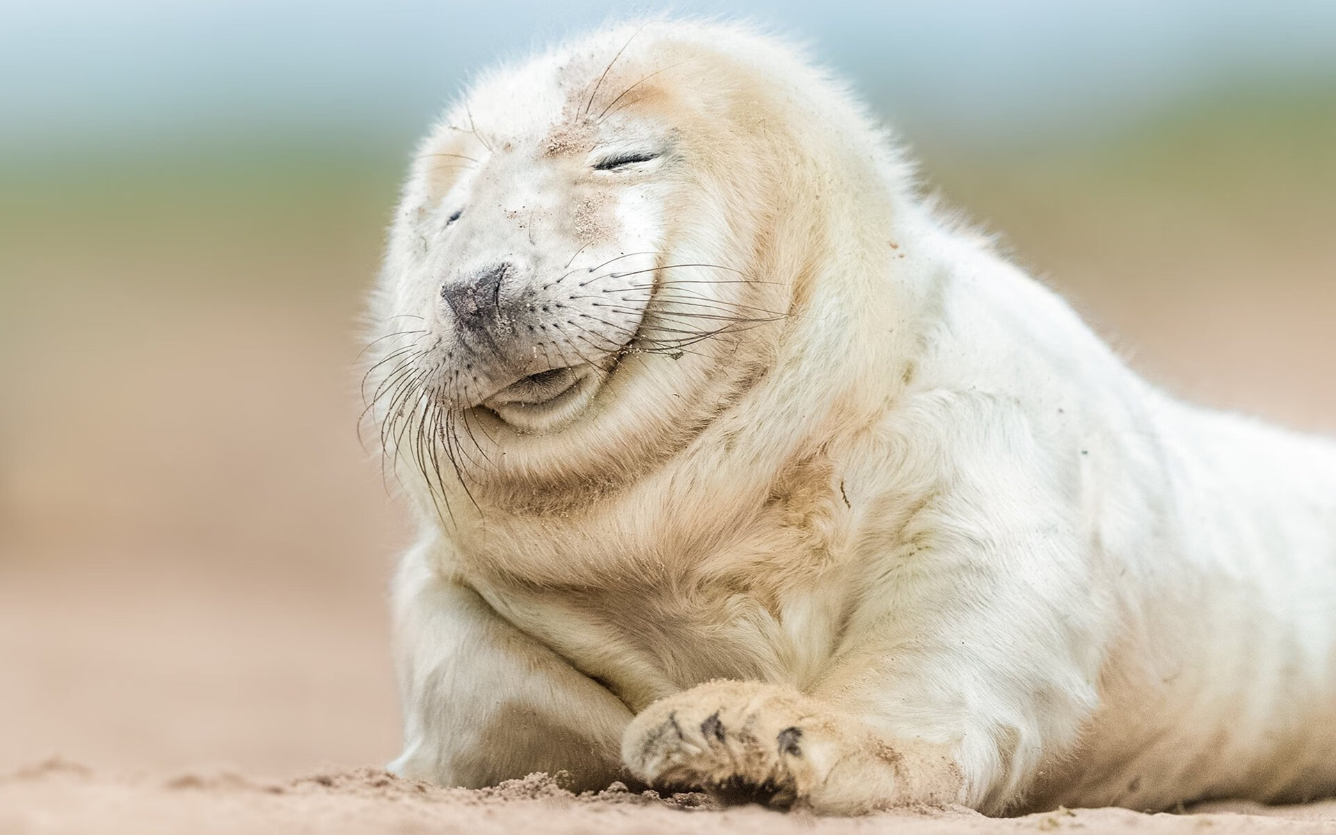 _法网决赛：激烈角逐白热化，谁将夺冠？_，法网决赛视频2021