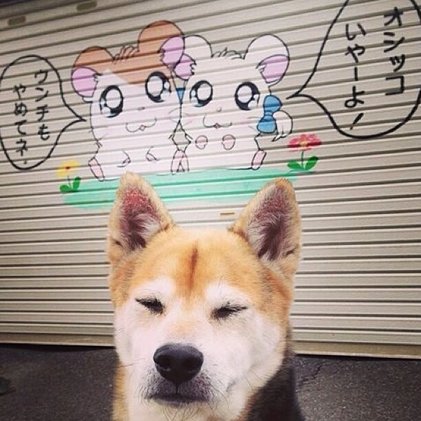 _罚球致胜!关键时刻罚篮定乾坤_,罚球是什么意思 篮球