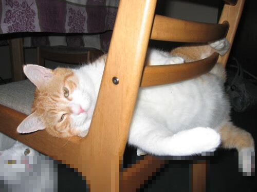 “撞击瞬间：惊心动魄的碰撞现场”，碰撞hit